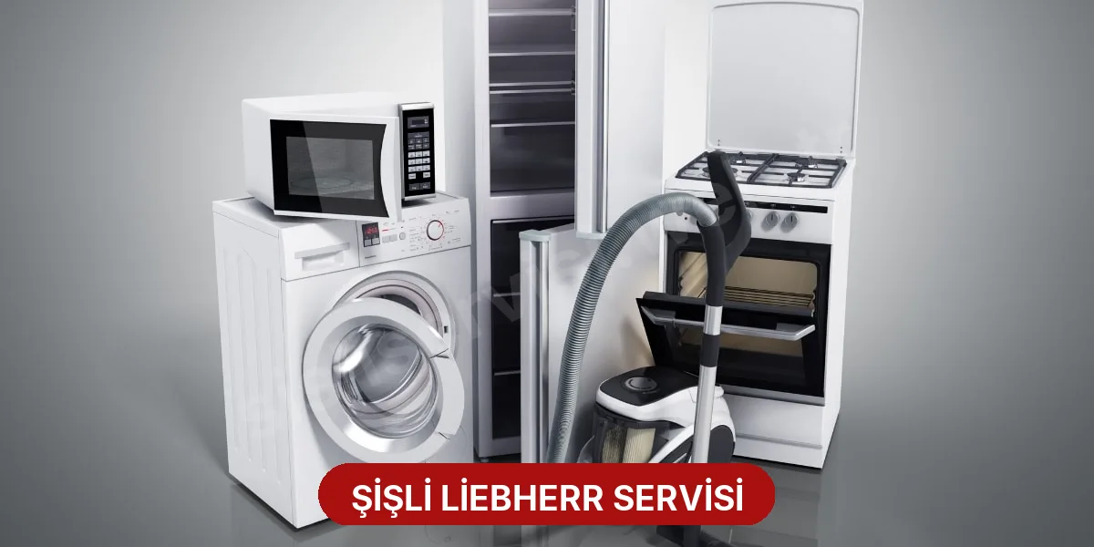 Şişli Liebherr Servisi